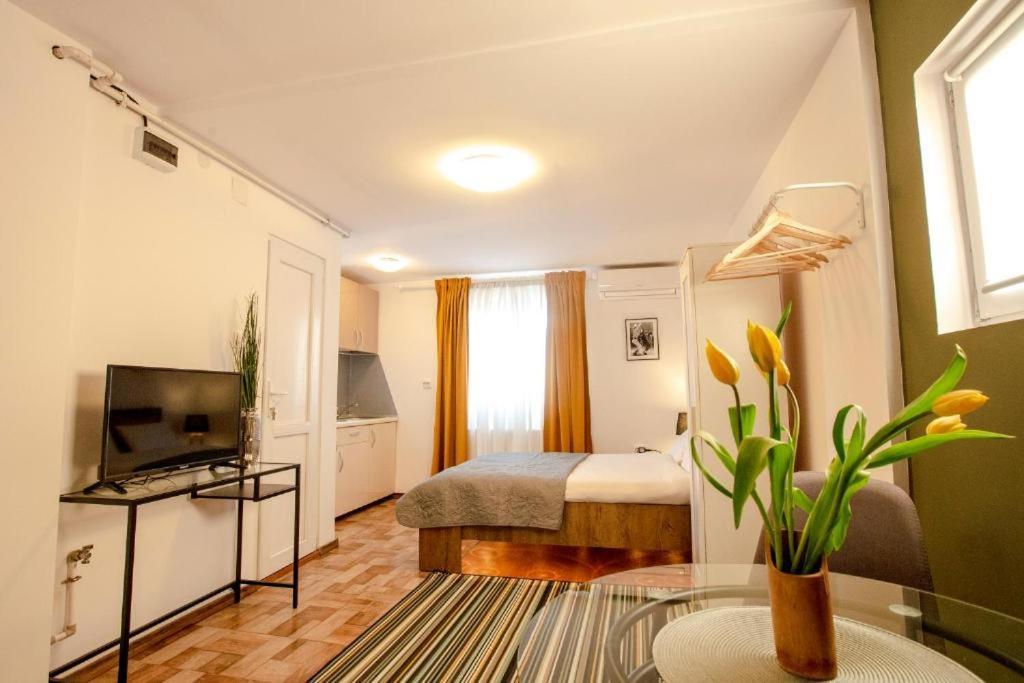 Color Apartments Old Town Center 布加勒斯特 外观 照片