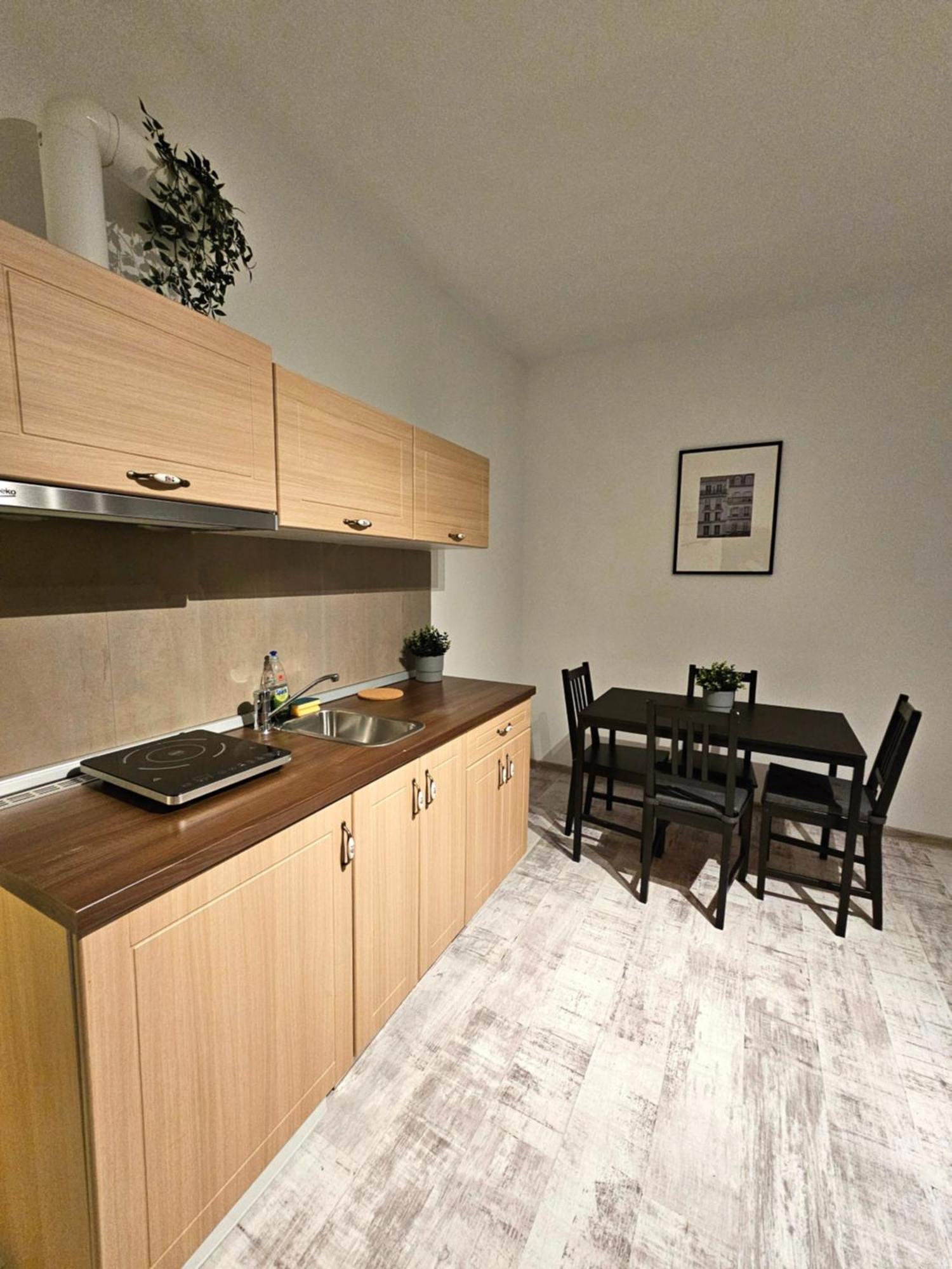 Color Apartments Old Town Center 布加勒斯特 外观 照片